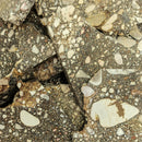 Peanut Jasper Conglomerate - Rough Slabs