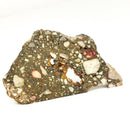 Peanut Jasper Conglomerate - Rough Slabs