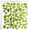 橄榄石 - 凸圆形