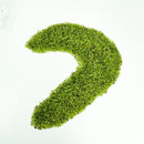 Peridot Mini (1lb Bag) - Tumbled