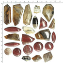 硅化木 - 凸圆形