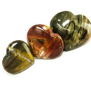 硅化木心 - 化石