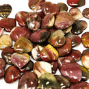 硅化木心 - 化石