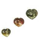 硅化木心 - 化石