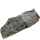 Petrified Wood Slabs - Rough