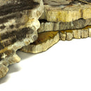 Petrified Wood - Fossil Slab