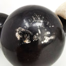 硅化木 - 化石球