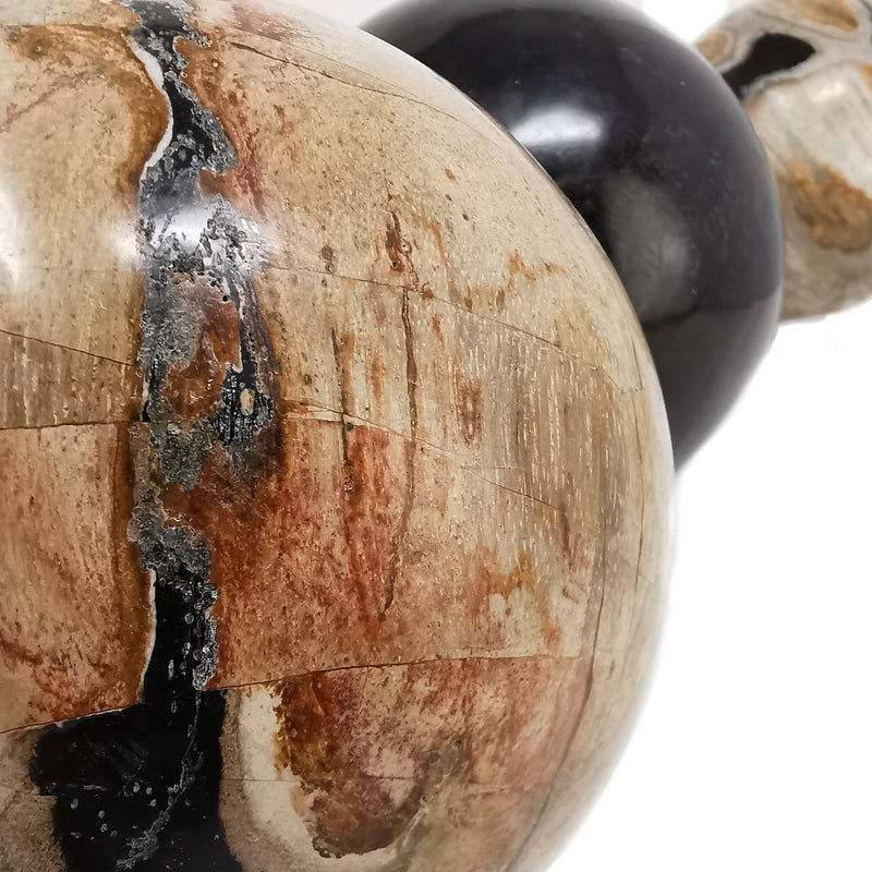 Petrified Wood - Fossil Sphere