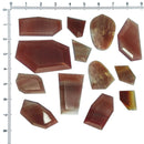 Petrified Wood - Window Cut