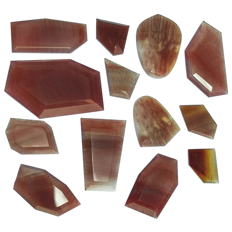 Petrified Wood - Window Cut