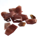 Petrified Wood - Window Cut