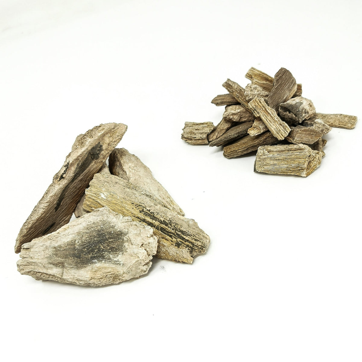 Petrified Wood shard fossil from Bouse, Arizona, USA.