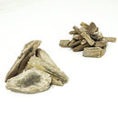 硅化木 - 亚利桑那州