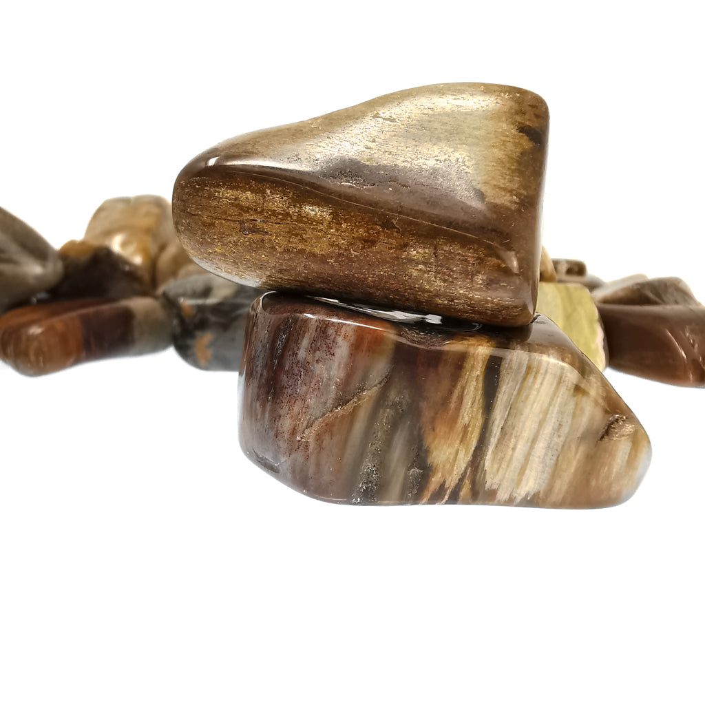 Petrified wood tumble from Ambilobe, Madagascar – group of tumbles