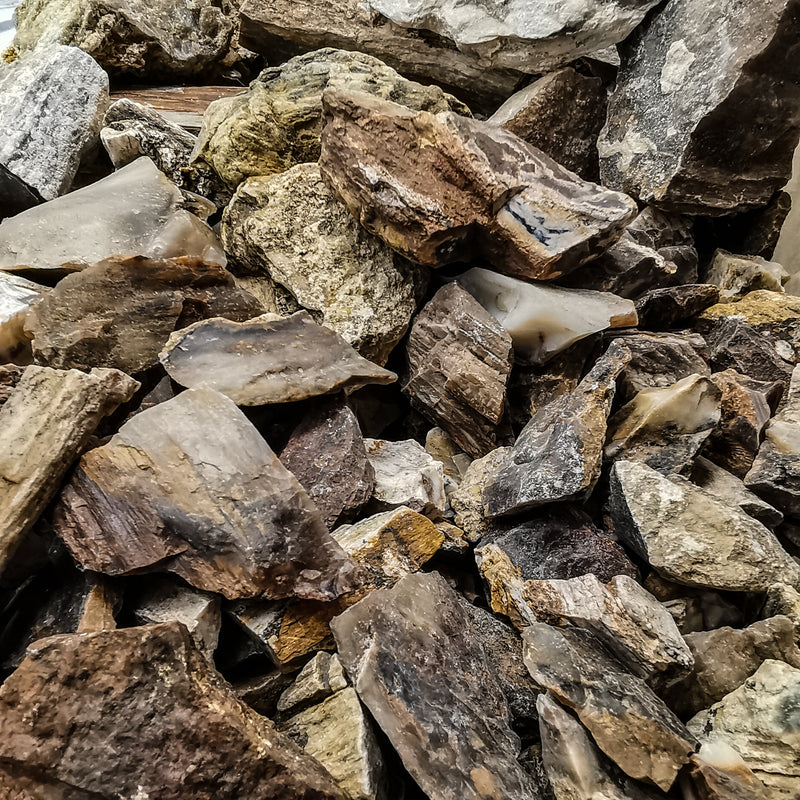 Petrified Wood Chips - Fossil