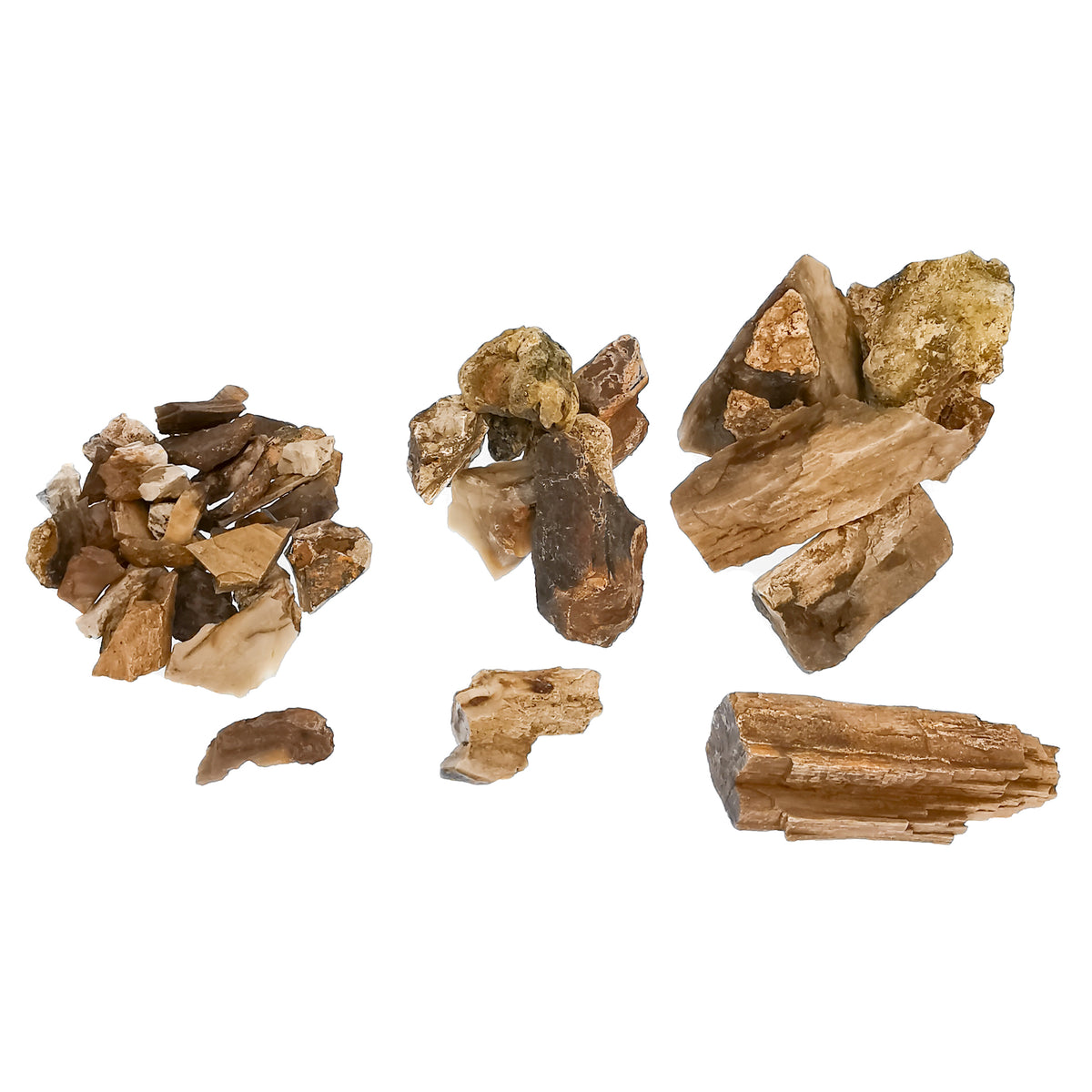 Petrified Wood Chips fossil.