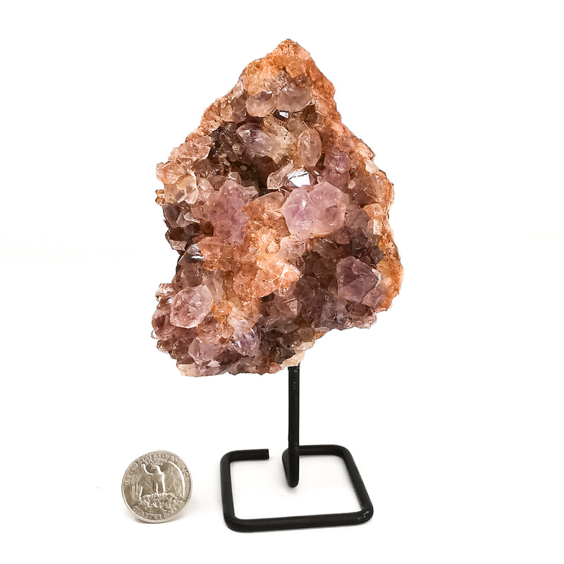 Pink Amethyst Druzy on Stand - Mineral