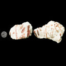 Pink Tourmaline in Quartz - Mineral