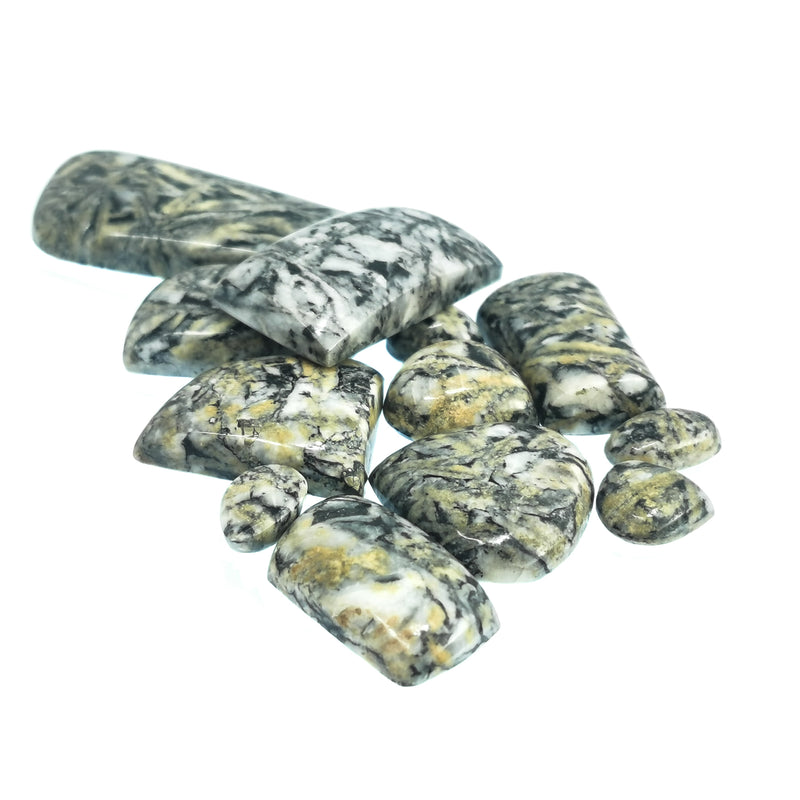 Pinolite - Cabochon