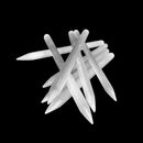 亚硒酸盐 - 抛光铅笔