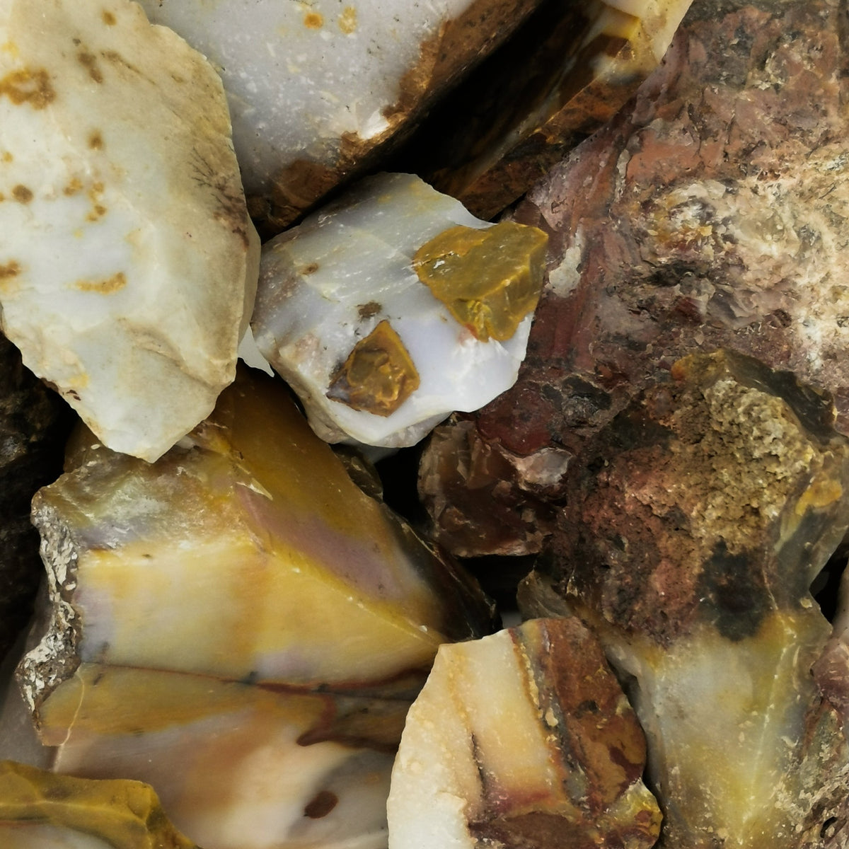 Polkadot Agate rough, a variety of chalcedony, from Oregon, USA.