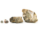 Polkadot Agate - Rough