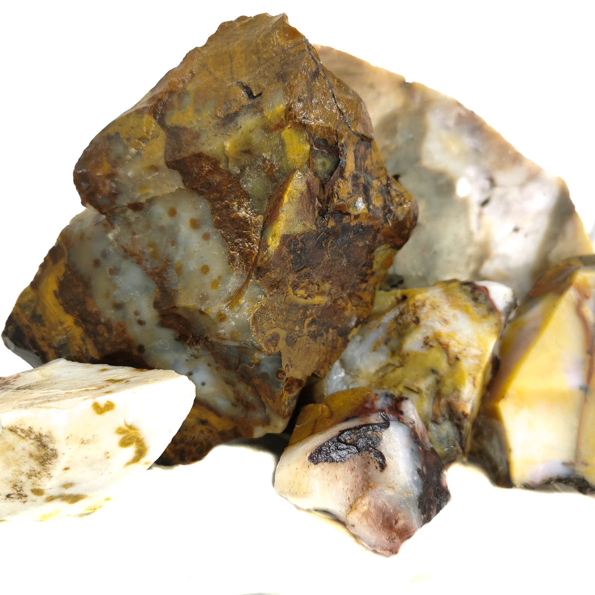 Polkadot Agate rough, a variety of chalcedony, from Oregon, USA.