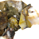 Polkadot Agate - Rough