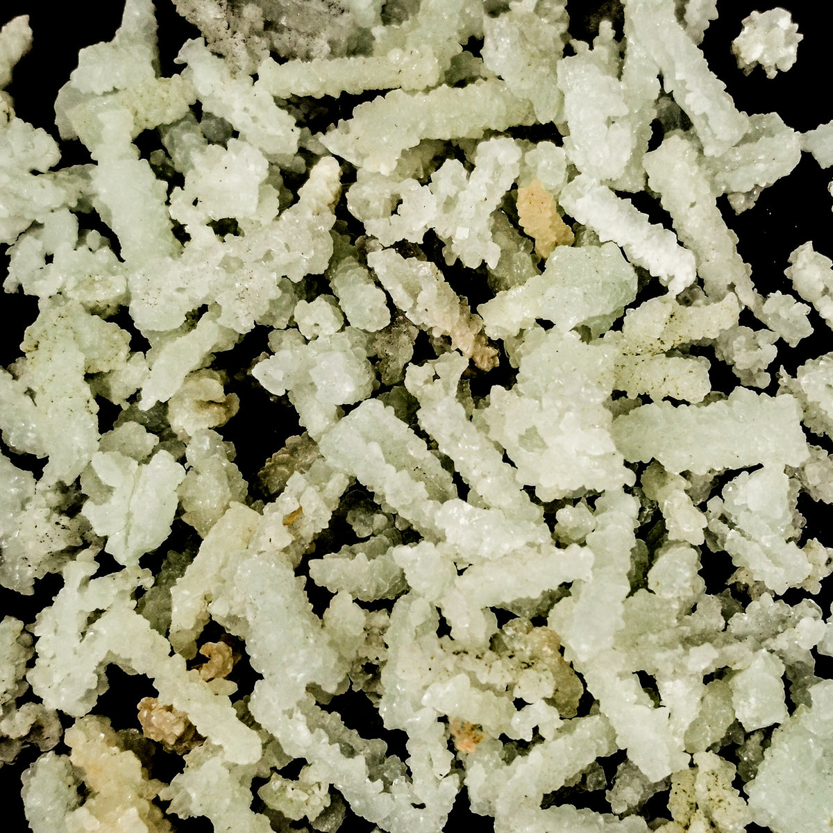 Prehnite After Laumontite specimen from Malad, Maharashtra State, India.