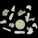 Prehnite After Laumontite - Raw