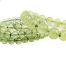 Prehnite - Bead Bracelet