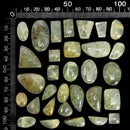 葡萄石 - 凸圆形