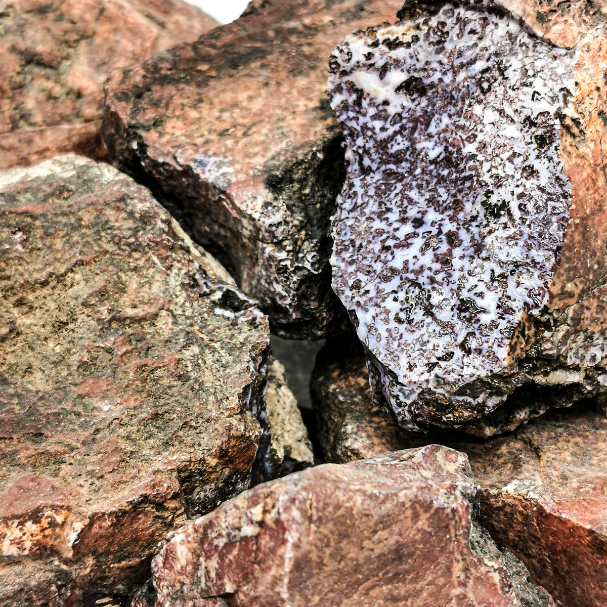 Purple Jasper rough from Arizona, USA.