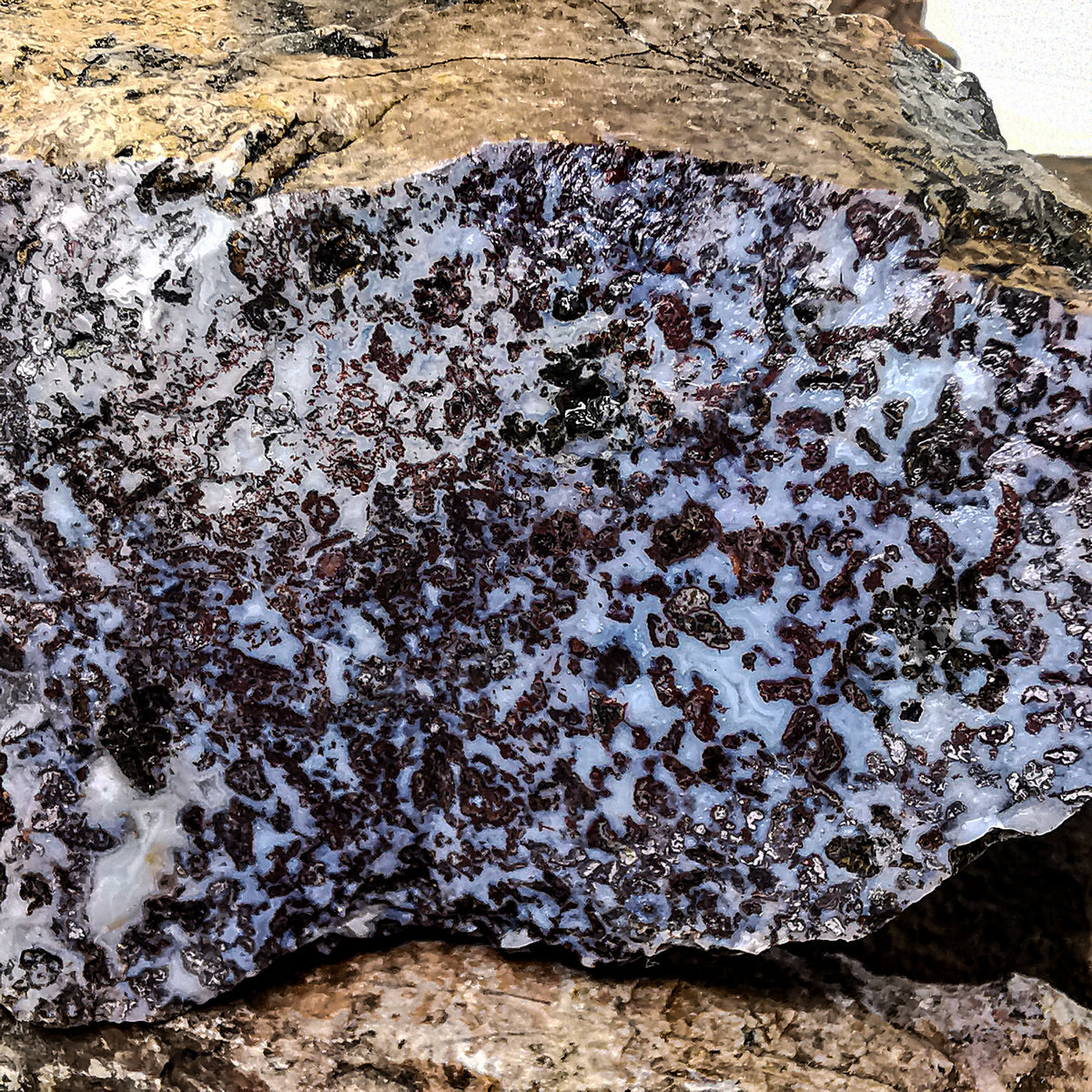 Purple Jasper rough from Arizona, USA.