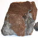 软锰矿 - B 级 - 矿物