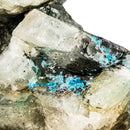 Quantum Quatro - Rough