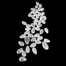 石英帽 - 凸圆形