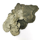 黄铁矿太阳 - 矿物