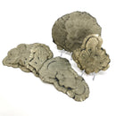 黄铁矿太阳 - 矿物