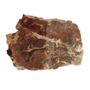 Rainbow Wood - Low Grade - Rough