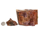 Rainbow Wood - Low Grade - Rough