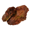 Rainbow Wood - Low Grade - Rough