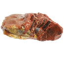 Rainbow Wood - Low Grade - Rough