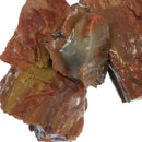 Rainbow Wood - Low Grade - Rough