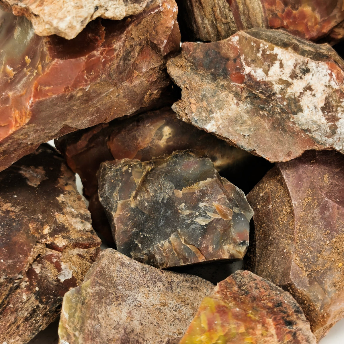 Rainbow petrified wood rough from Holbrook, Arizona – close-up of a bulk bin of rough