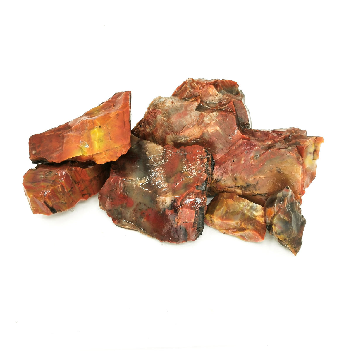 Rainbow petrified wood rough from Holbrook, Arizona – pile of rough pieces