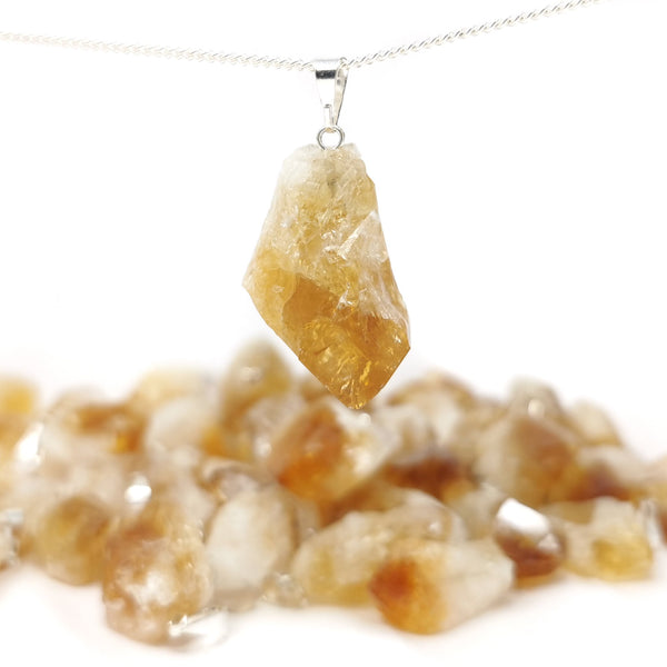 Catching Wildflowers + 14K Gold Filled Raw Citrine Necklace