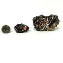 Red Cloud Wulfenite - Raw