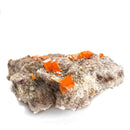 Red Cloud Wulfenite - Raw