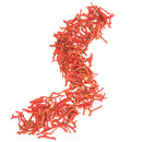 Red Coral - Mineral